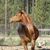 Pam Luettich's profile image