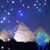 Laura Lippe's profile image