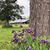 Carrie Routh Bradds's profile image