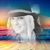 Buffy Faye Snider-Weller's profile image