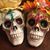 Rosanna Trevino's profile image