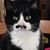 Cindy Bryner Garro's profile image
