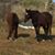 Sharon Clark Maxwell's profile image