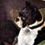 Nancy Davis's profile image