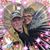 Deanne Cook's profile image