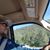 Beto Quintanilla's profile image