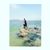 Jahir Sánche'z's profile image