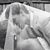 Tiffany LeAnn Fulton's profile image