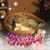Judy Huizenga Oudekerk's profile image