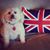 Jacqui Ulrich's profile image