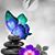 Linda Marten's profile image
