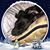Karen Wade-Melzer's profile image