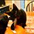 Cheryl L. Loukola's profile image