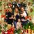Liz Sykes-Thibodeaux's profile image
