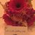 Elizabeth Vidas's profile image
