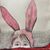Molly Peters's profile image