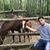 Rafa Rod Mtz's profile image