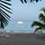 Joyce Wilson Nichols's profile image