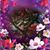 Maria e Carballea's profile image