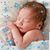 Kathy Amodeo Croce's profile image