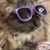 Sandy Sanchez Tirado's profile image