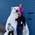 Ryan G Monette's profile image