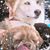 Shan Marie Cook's profile image