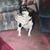 Karen Bolton's profile image