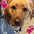 Corina J Lepek's profile image