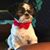 Linda Callaghan's profile image