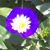 Joan Darby's profile image