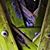 John Greenwood's profile image