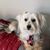 Mitzie Vestal's profile image