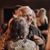 Beth Wilhelm Arpin's profile image