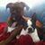 Jenne Deverell Stack's profile image