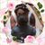 Paula Marie Carrano Bianchi's profile image