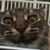 Al Bonter's profile image