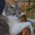 Isabell C. Carrillo-Mata's profile image