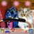 Sharon Haimes Schmidt's profile image