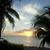Sue Copner's profile image