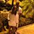 Kynesha Ross-Wallace's profile image