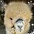 Chrystal Migliorini Fleck's profile image