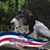 Carol Armstrong Schroeder's profile image