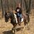 Nancy Renninger's profile image