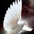 Robert Taylor's profile image