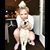 Kate Helms's profile image