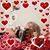 Laura Rosin Flynn's profile image