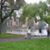 Patricia Vaughey's profile image
