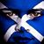 Scott Barretto's profile image