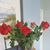Magda Zayas's profile image